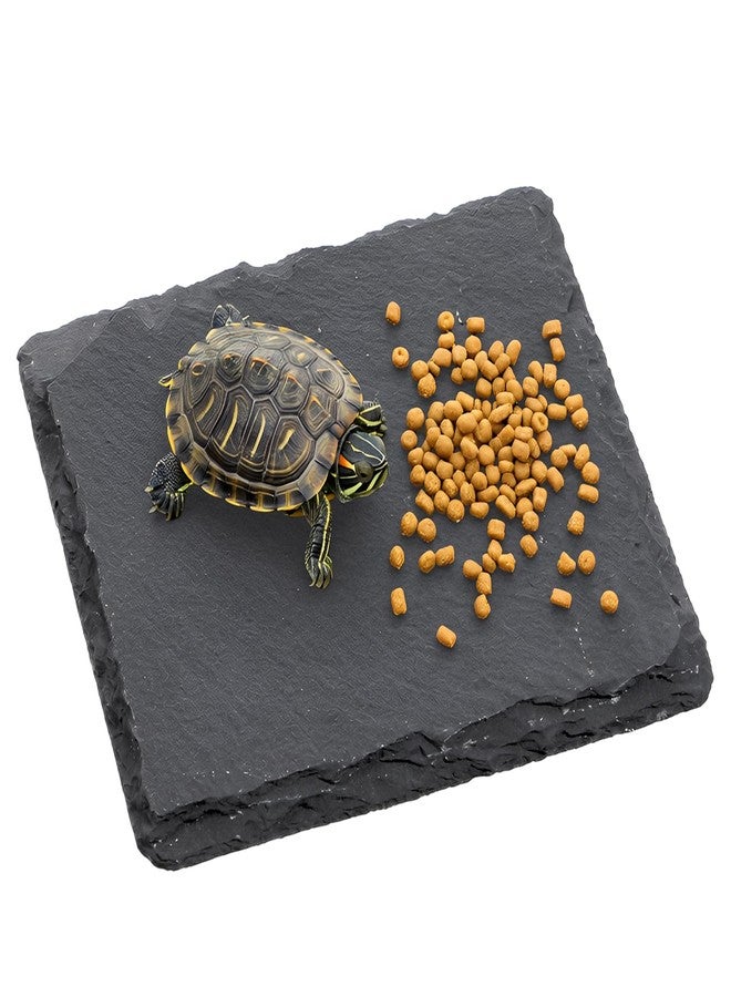 Alrhso Turtle Basking Platform Slate for Reptiles 3.9 X 3.9 Inch Tortoise Basking Stone for Reptiles Bearded Dragon Accessories for Lizards, Chameleons, Geckos, Turtles, Reptile - Image 1